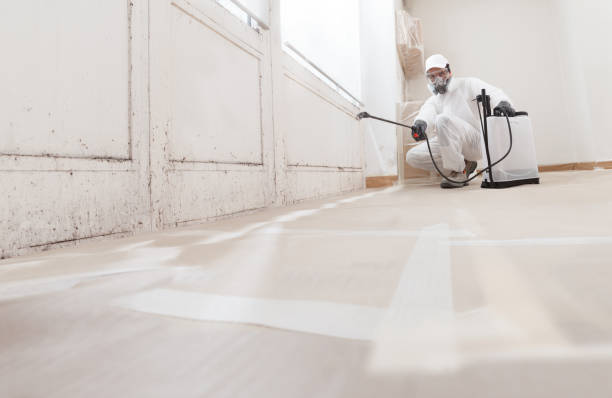 24/7 Emergency Mold Remediation experts in Goldsboro, NC