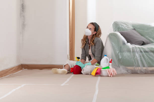 Reliable Mold Remediation contractor in Goldsboro, NC by Mold Remediation HQ