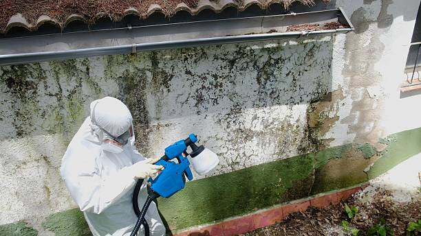 Top rated local Mold Remediation specialists in Goldsboro, NC